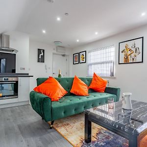 Birmingham Apt-Sleeps 4-Walk To City Centre-Pets