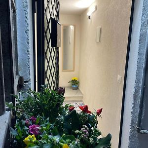 Maro Loft Al Capo
