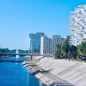 Appartement T2 A L'Arbre Blanc