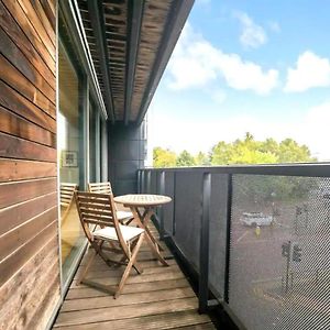 Spacious Queen Bed City Centre Penthouse With Balcony - Homeshare - Live In Host