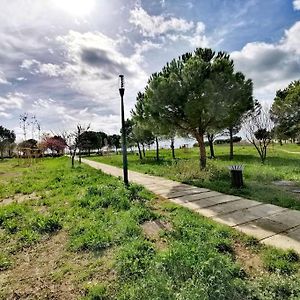 Le Cosy Montpellierain T3 Avec Parking