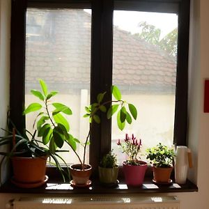 Old Town Bohemian Studio With Garden View Balcony