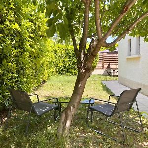 Charmante Maison Provencale Avec Piscine Dans Avignon