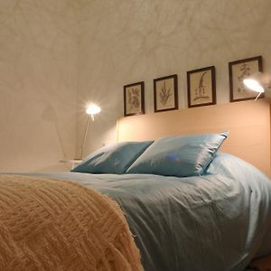 Moderno Y Centrico Apartamento 1 Dormitorio
