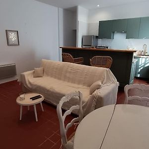 Hypercentre, Appartement Coquet En Rez-De-Chaussee