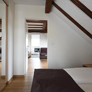 Suite Junior