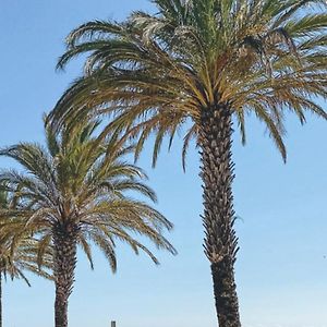 Studio Roses Plage