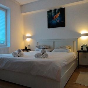 Cozy Apartment City Center