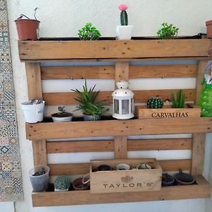 Santa Catarina Patio Apartment - With Washer Machine