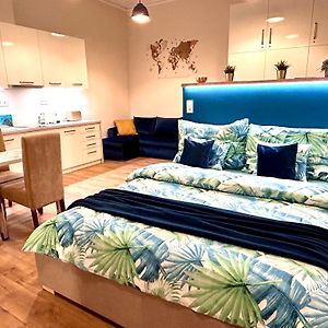 Appartement à 1 Chambre à Coucher