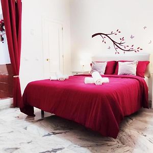 Wish Suite Magdalena