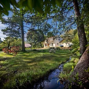 Daweswood - Luxury Cottage, Lake Access & Hot Tub