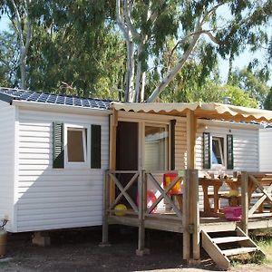 Mobile Home