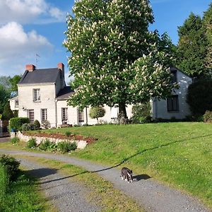 Chambres d'Hôtes de l'Ile du Saule