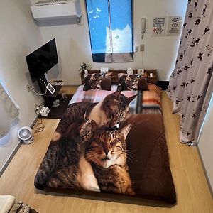 Tokyo Shibuya Shinjyuku Cat House !