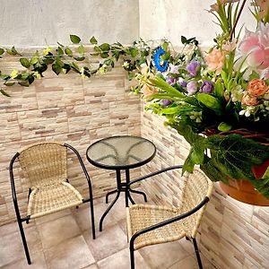 Jara Home Malaga Centro