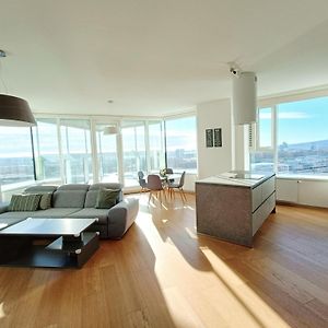 Sag Panorama Apartment 3 Rooms 19Th Floor Great View Free Parking