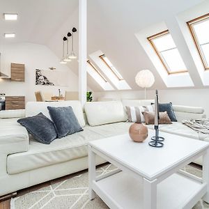 Large And Stylish Apartment In Prague