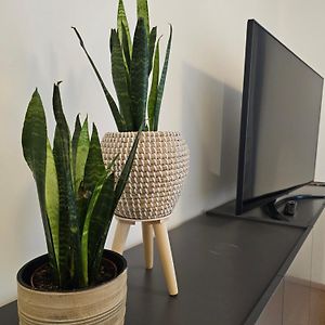 Appartement de Luxe