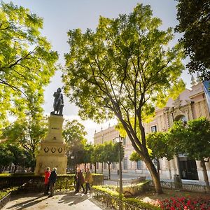 Fantastico 2H+1B Plaza Del Museo