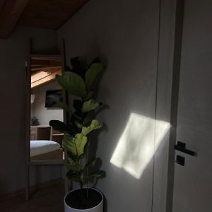 Chambre Standarde Lit King-Size