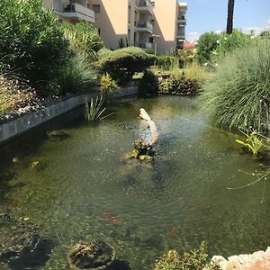 Studette Pointe Croisette - Axelle Loc'Appart