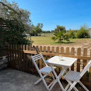  La Parenthèse   gîte en Camargue