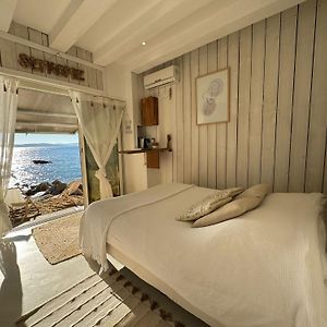 Appartement Studio