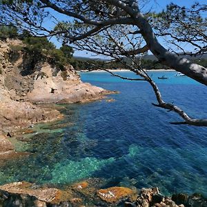 Studio à Hyères Port - Proche de toutes commodités