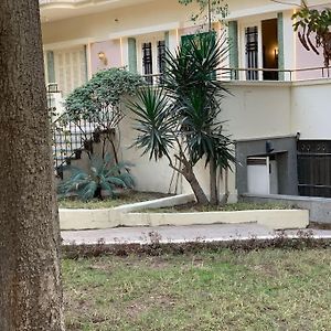 Zamalek Garden Villa-Abu El Feda