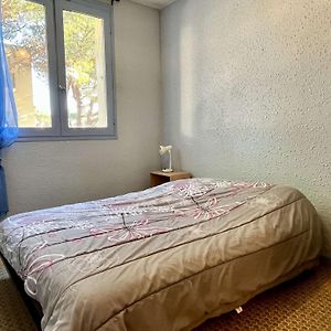Appartement Argelès-sur-Mer, 2 pièces, 4 personnes - FR-1-225-673