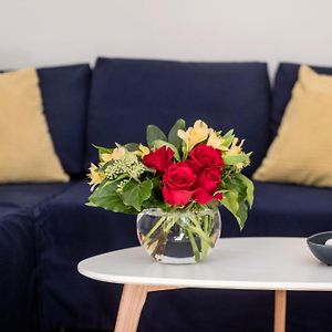 Artistic Apartment In City Centre