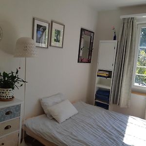 Central Quiet And Cosy Apartment Near Hallenstadion
