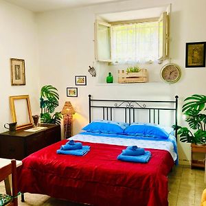 Maison 1 Chambre