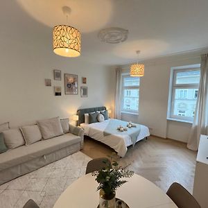 Luxurious One Room Apartment Near Schoenbrunn Palace