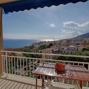 Appartement Centre Ville Les Pins Ajaccio
