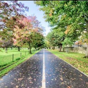 Home By The Meadows, Close To City Centre