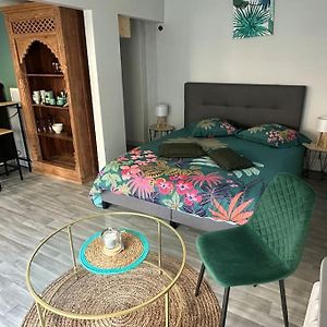 Studio Independant Avec Jardin