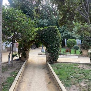 Apartment San Carlos Alicante