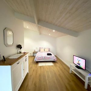 Chambre D'Hotes~Chateau Austerlitz