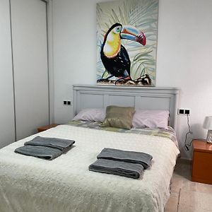 Habitacion En Piso Particular Sol Connect