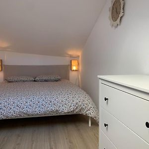 Superbe Duplex Hypercentre Dans Une Rue Pietonne