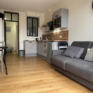 Lyon Standing Historic City Apartment