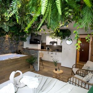 Jungle Room Cannes