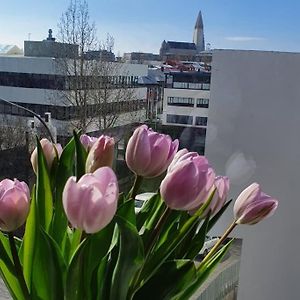 Lovely Modern 1-Bedroom Apartment, Free Parking