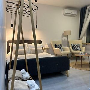 Pirotska Modern Room