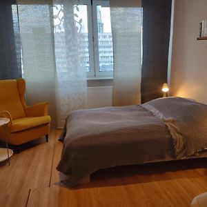 Studio Lit King-Size