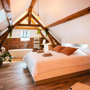 Le Laurencin Sens - Le Duplex - Coeur De Ville