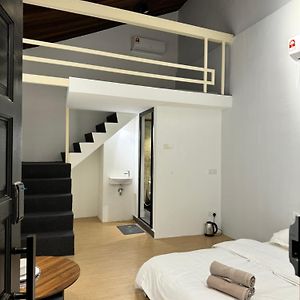 Studio Lit King-Size