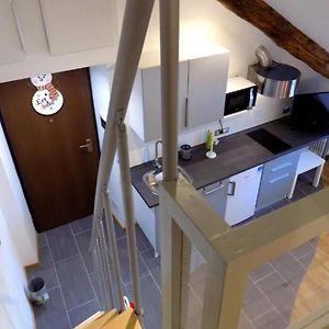 Il Nido Di Piera, Accogliente Loft A Torino